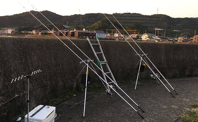 シーズン初の投げカレイで本命3尾手中　『塩マムシ』がアタリ【徳島】