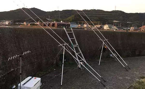 「シーズン初の投げカレイで本命3尾手中　『塩マムシ』がアタリ【徳島】」の画像