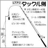 「東京湾『LTアジ』釣りで40cm超え頭に本命80尾超え【つり幸】」の画像3