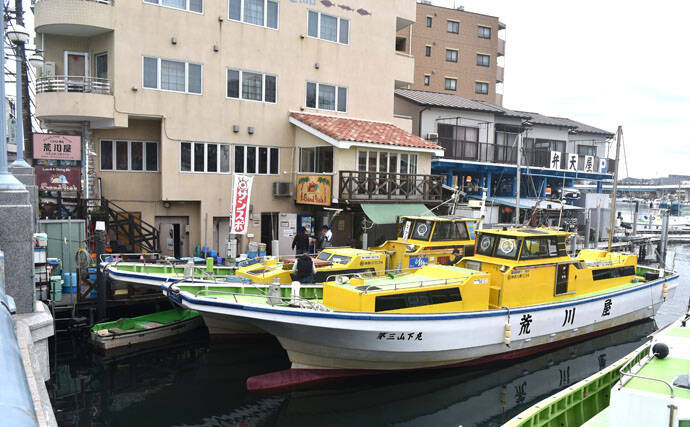 東京湾の味覚の王者 マコガレイ を狙う 42cm頭に4尾 荒川屋 19年11月15日 エキサイトニュース