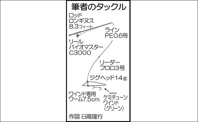 陸っぱりワインドゲームでタチウオ2ケタ達成 ワームセッティングが命 19年11月13日 エキサイトニュース