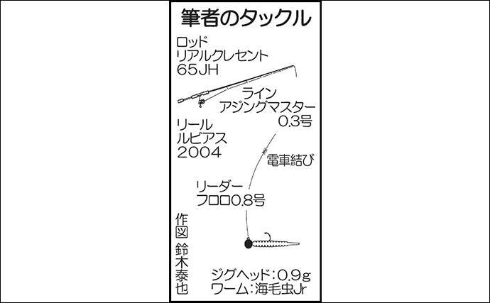 アジングでcm超のアジ ゲストにタイワンガザミも 箱崎漁港 19年11月13日 エキサイトニュース