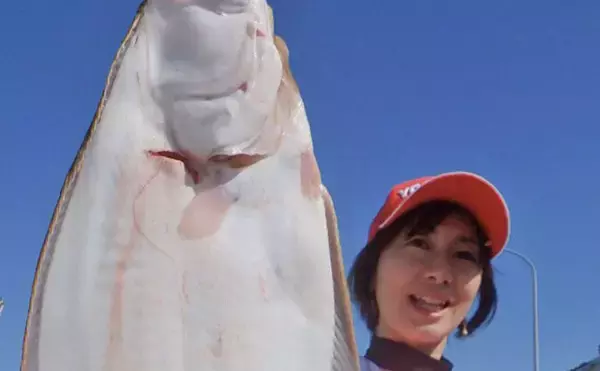 アジの泳がせ釣りで70cmヒラメ　丁寧なエサ付け心がけ【みくに丸】