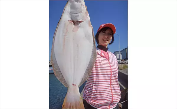 「アジの泳がせ釣りで70cmヒラメ　丁寧なエサ付け心がけ【みくに丸】」の画像