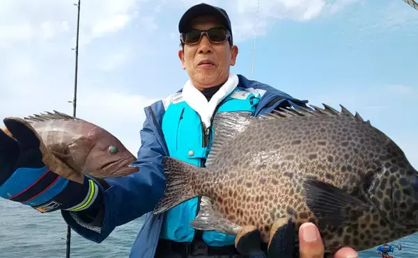 「【愛知県】沖釣り最新釣果　シーバスゲームでまさかの60cmクエ登場」の画像