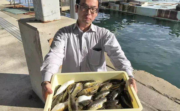 「【愛知県】沖釣り最新釣果　シーバスゲームでまさかの60cmクエ登場」の画像