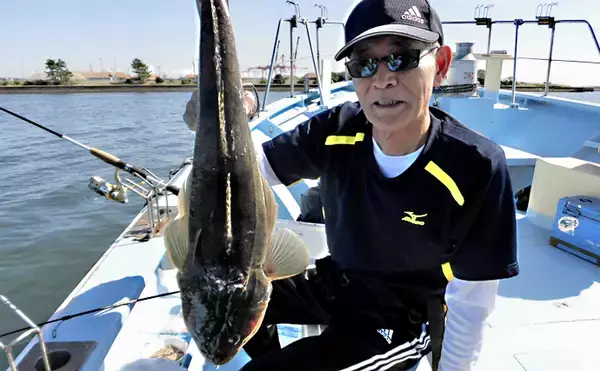 「【愛知県】沖釣り最新釣果　シーバスゲームでまさかの60cmクエ登場」の画像