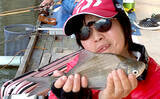 「管理釣り場でヘラブナ満喫　エサの工夫を楽しむ【へら釣り西池】」の画像1