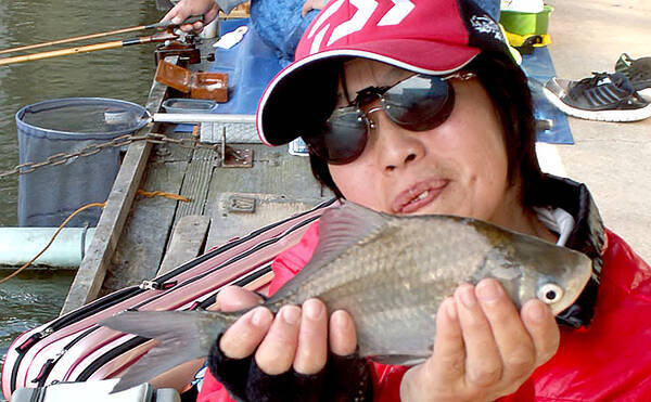 管理釣り場でヘラブナ満喫 エサの工夫を楽しむ へら釣り西池 19年11月27日 エキサイトニュース