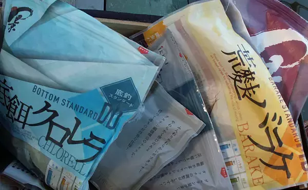 「管理釣り場でヘラブナ満喫　エサの工夫を楽しむ【へら釣り西池】」の画像