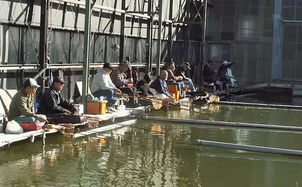 「管理釣り場でヘラブナ満喫　エサの工夫を楽しむ【へら釣り西池】」の画像