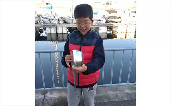 「マイボートでタチウオ引き釣り　4つのテンヤを比較検証【岸和田沖】」の画像