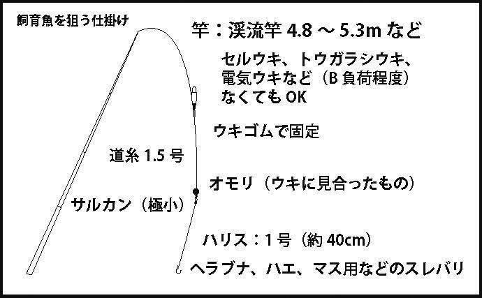 【釣った海水魚を飼育してみよう】準備編：サカナの捕獲について