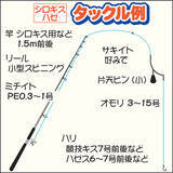 「船キス＆ハゼ釣りで合計60尾程度　24cm良型シロギスも【雄士丸】」の画像2