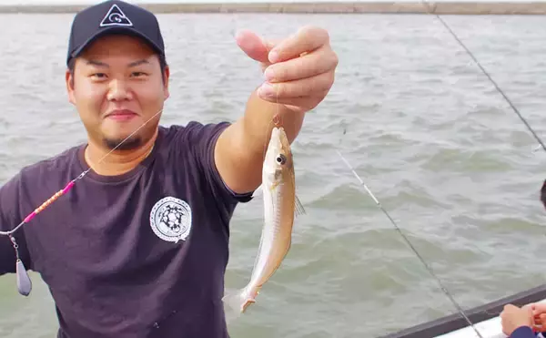 船キス＆ハゼ釣りで合計60尾程度　24cm良型シロギスも【雄士丸】