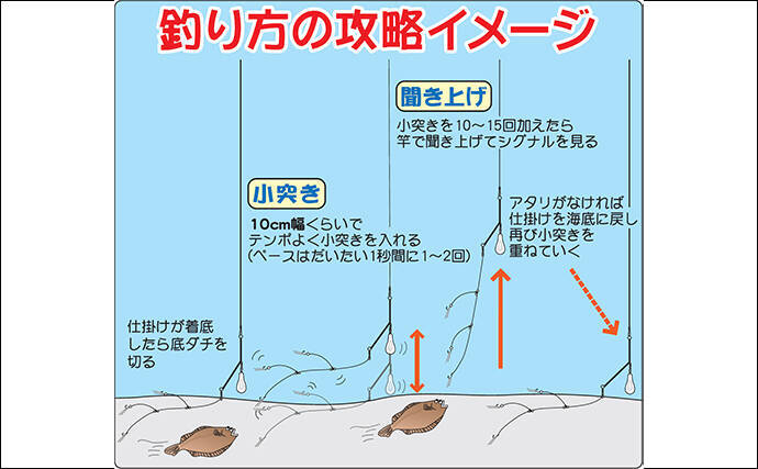 19関東エリア 冬カレイ釣りキホン解説 タックル 釣り方まで 19年11月日 エキサイトニュース