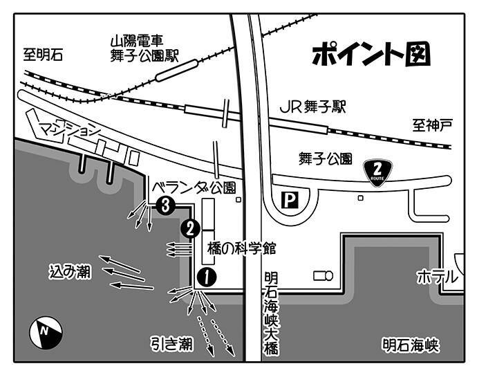 乗っ込みカレイ好釣り場 明石海峡大橋下 50cm超イシガレイも 19年12月2日 エキサイトニュース