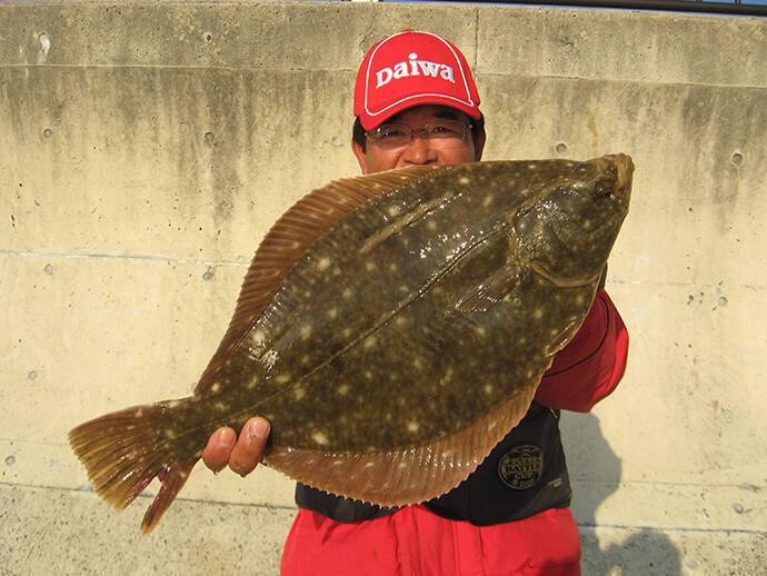 乗っ込みカレイ好釣り場：明石海峡大橋下　50cm超イシガレイも
