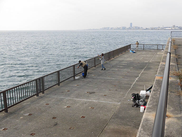 乗っ込みカレイ好釣り場：明石海峡大橋下　50cm超イシガレイも