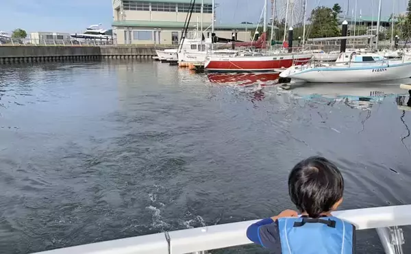 人生初の船釣り体験レポ　ビギナーズラックで目指せ入れ食い【愛知県】