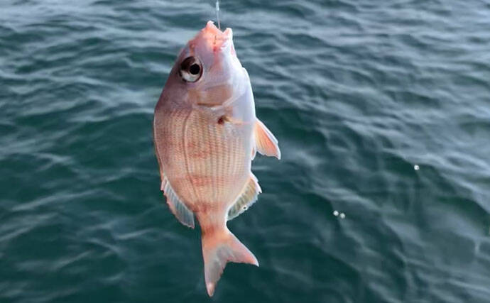 人生初の船釣り体験レポ　ビギナーズラックで目指せ入れ食い【愛知県】