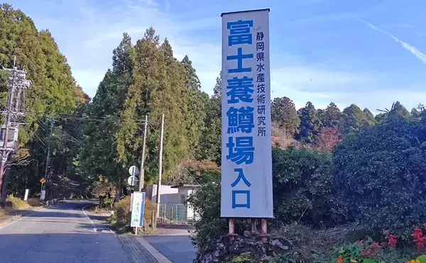 「クリアウォーター&水温低下でスレたトラウトをテンカラ釣りで攻略」の画像