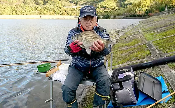 「浅ダナ両ダンゴで30cm後半のヘラブナ連発　夕方に時合い【白川ダム】　」の画像
