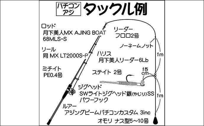 東京湾バチコンアジングで38 5cm頭に2人で約100尾の大釣り 渡辺釣船店 19年12月7日 エキサイトニュース