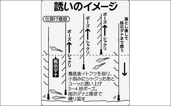 19関東エリア ヤリイカシーズン突入 釣り方のキホンを解説 19年12月8日 エキサイトニュース