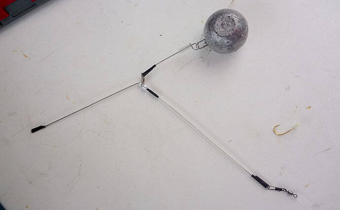 高級ブランド魚『若狭グジ』釣りキホン解説 冬は浅場が狙い目【京都】