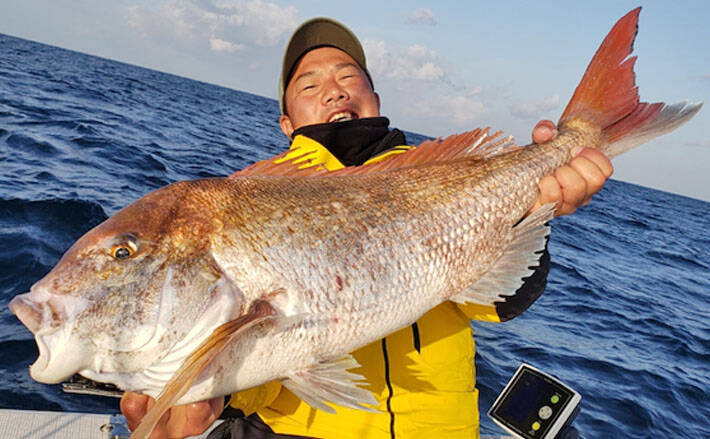 福井 三重 静岡 沖釣り最新釣果 84cm頭に70cm超マダイ数釣り 19年12月8日 エキサイトニュース