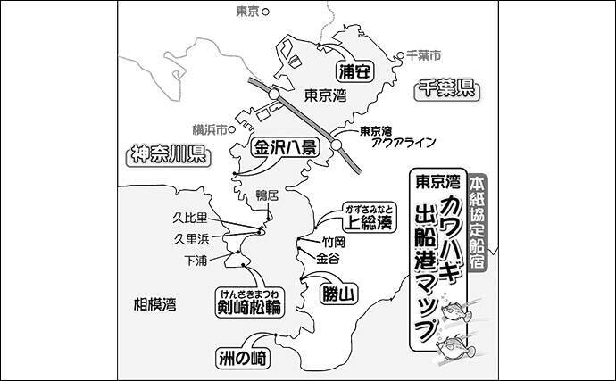 19秋冬 エキスパートが教えるカワハギ攻略法 東京湾西部 19年12月13日 エキサイトニュース