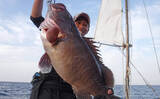 「【大分県】沖釣り最新釣果　スロージギングで7.8kgマハタ登場！」の画像11