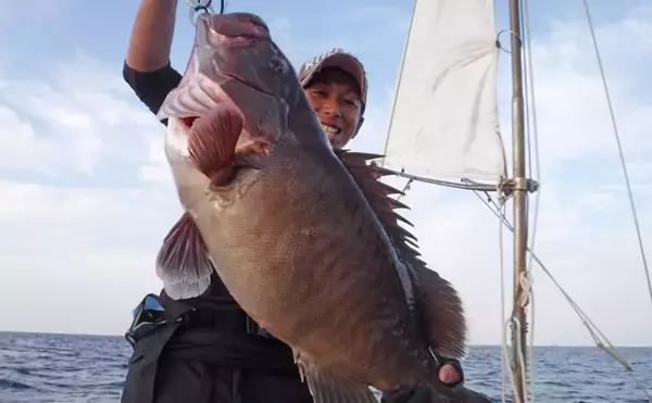 「【大分県】沖釣り最新釣果　スロージギングで7.8kgマハタ登場！」の画像