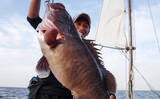 「【大分県】沖釣り最新釣果　スロージギングで7.8kgマハタ登場！」の画像1