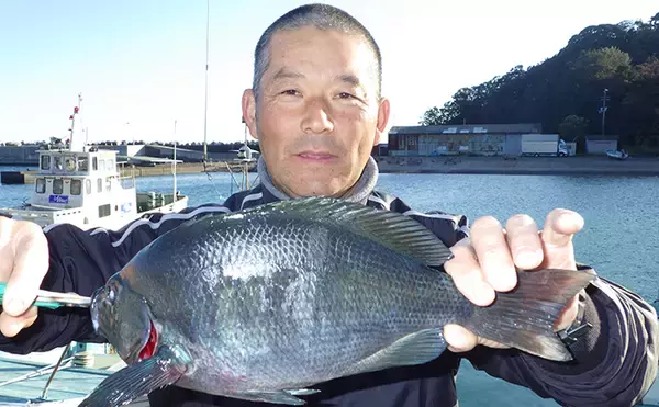 「『グレ釣り大会』参戦記　磯フカセ盛期到来を感じさせる釣果に【徳島】」の画像