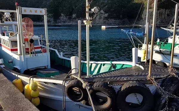 「磯フカセ釣り好機到来　沖の浅ダナ狙いで良型キャッチ【和歌山・市江】」の画像