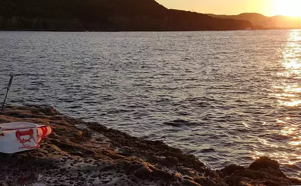 「磯フカセ釣り好機到来　沖の浅ダナ狙いで良型キャッチ【和歌山・市江】」の画像