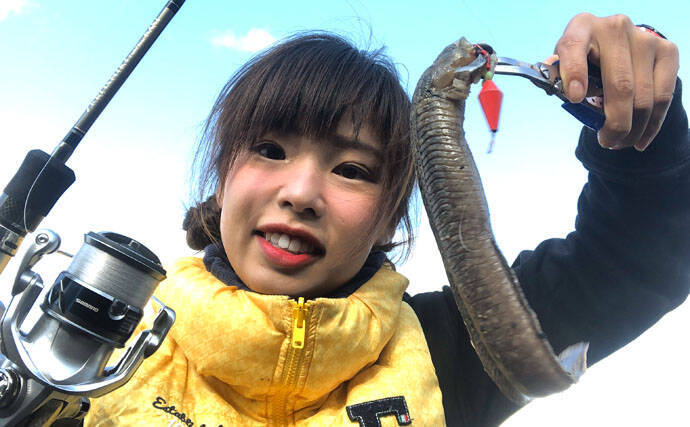 見た目は難ありでも美味な ギンポ釣り はゲーム性高し 福岡県 19年12月日 エキサイトニュース