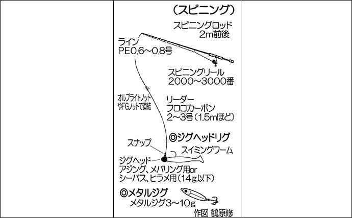 冬の陸っぱりは ライトロックゲーム がアツい エサ ルアー釣りキホン 19年12月22日 エキサイトニュース