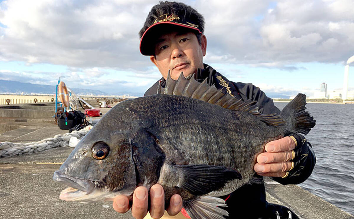 冬の 落とし込み チヌ釣りの状況を解説 まだヘチ 上層での釣り成立か 年1月2日 エキサイトニュース
