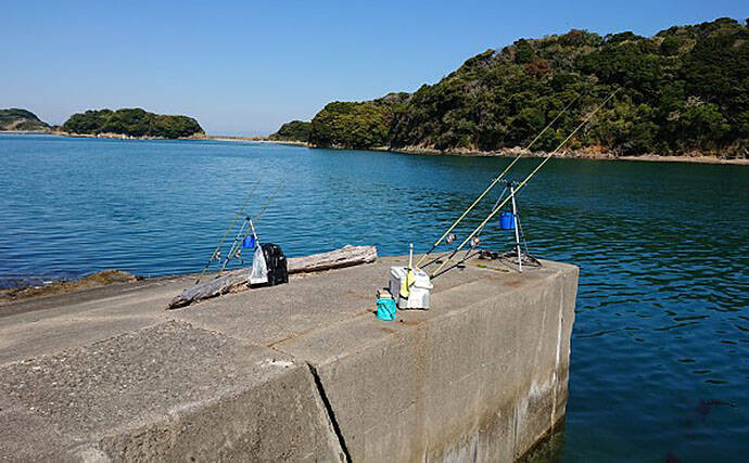 【関西】年末年始オススメ釣り場3選：投げアブラメ（アイナメ）編
