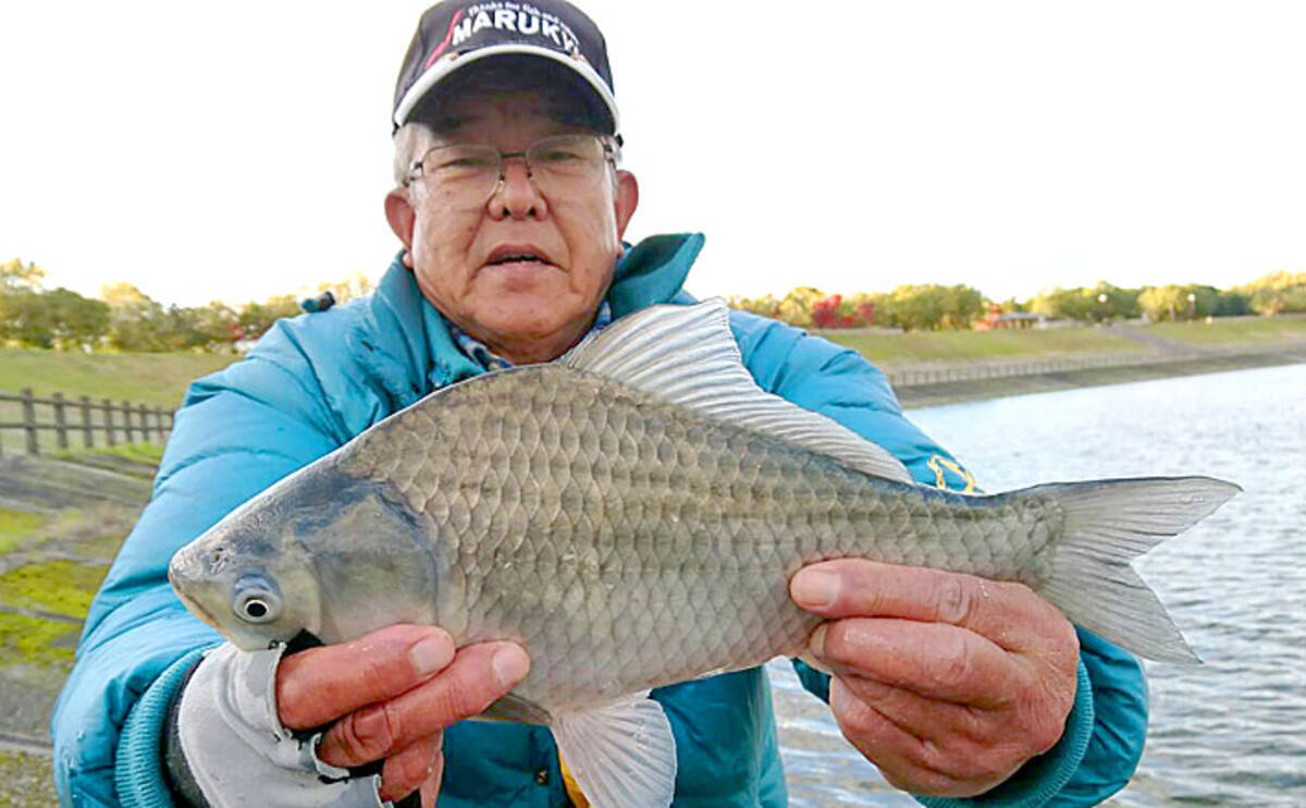 関西 初釣りオススメ釣り場3選 野池のヘラブナ釣り編 年1月5日 エキサイトニュース