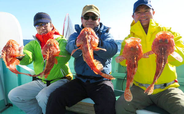 三重 イカダ 船釣り最新釣果 3人でオニカサゴ29匹の数釣り達成 19年12月25日 エキサイトニュース