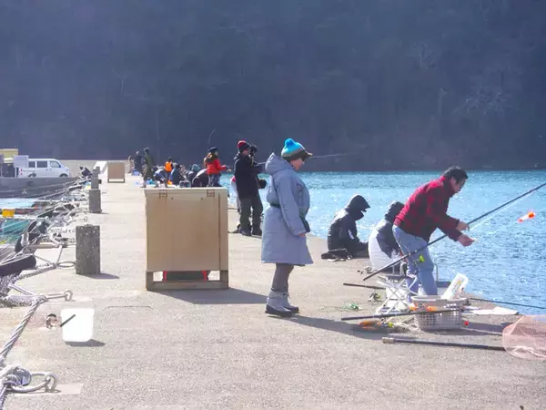 「【関東】年末年始オススメ釣り場：富浦新港　クロダイとアジが狙える」の画像