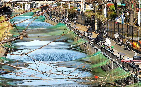 関東 年末年始オススメ釣り場 大横川親水公園魚つり場 フナ釣り満喫 19年12月30日 エキサイトニュース