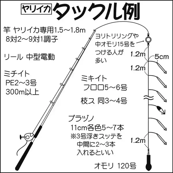「【関東】初釣りオススメ釣り物：シーズン到来の船ヤリイカ」の画像