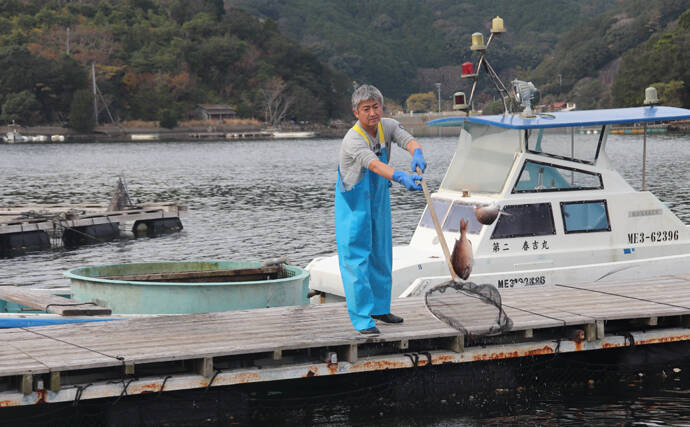 冬に人気の『海上釣り堀』釣果アップの秘訣　3つのチャンスタイムが重要