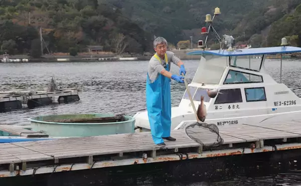 「冬に人気の『海上釣り堀』釣果アップの秘訣　3つのチャンスタイムが重要」の画像