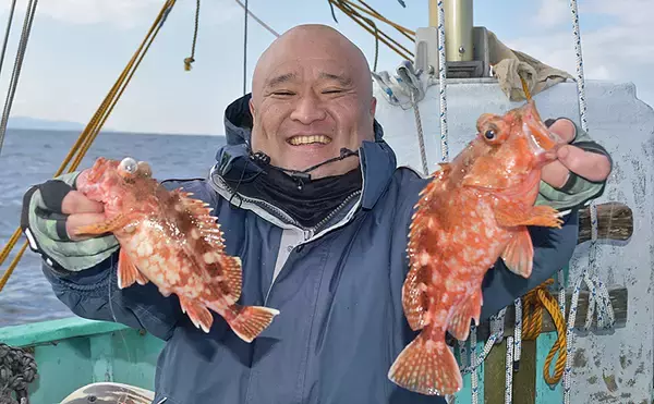 「マダイ・アマダイめでたいリレー船　40cm超アマダイ連発【柾木丸】」の画像